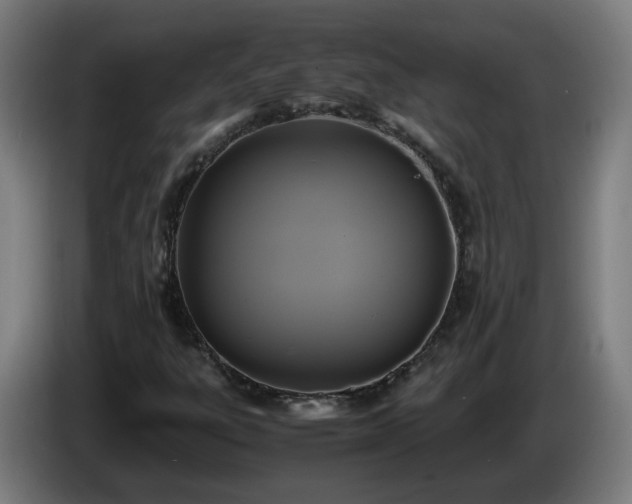 X0000086011303200703301001