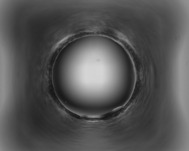 X0000086011304200703301001