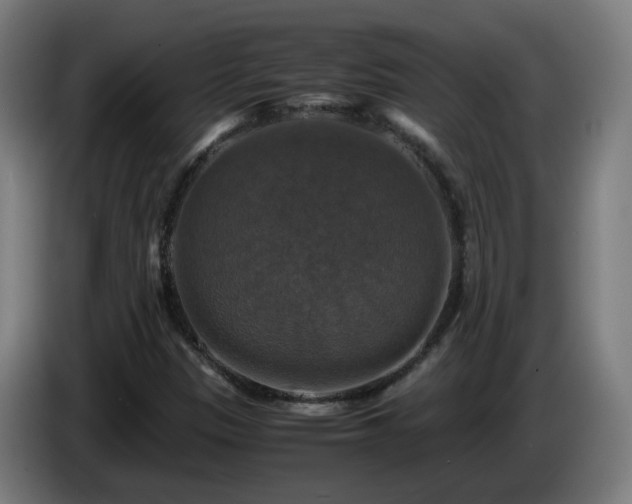 X0000086011305200703301001