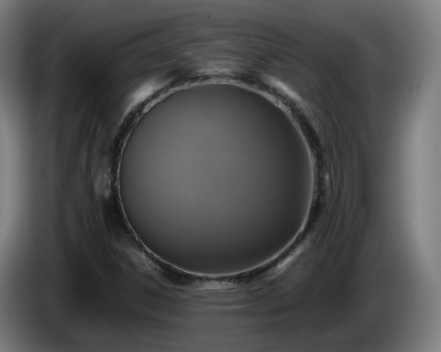 X0000086011306200703301001