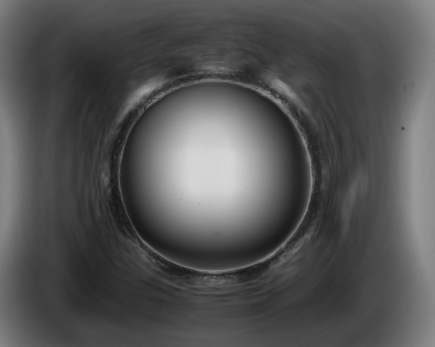 X0000086011307200703301001