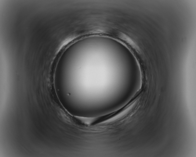 X0000086011308200703301001