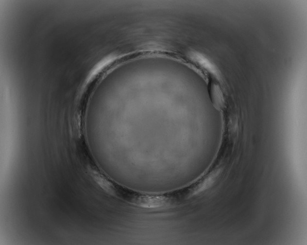 X0000086011310200703301001
