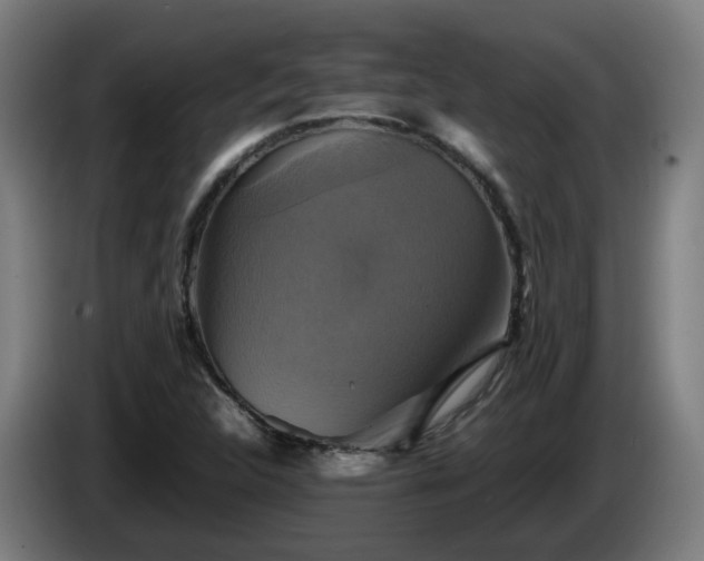 X0000086011312200703301001