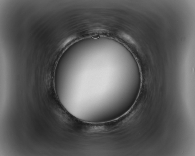 X0000086011313200703301001