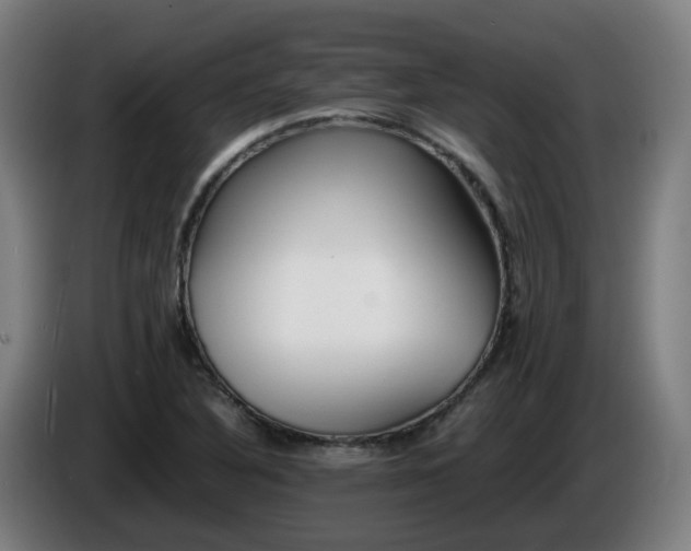 X0000086011316200703301001