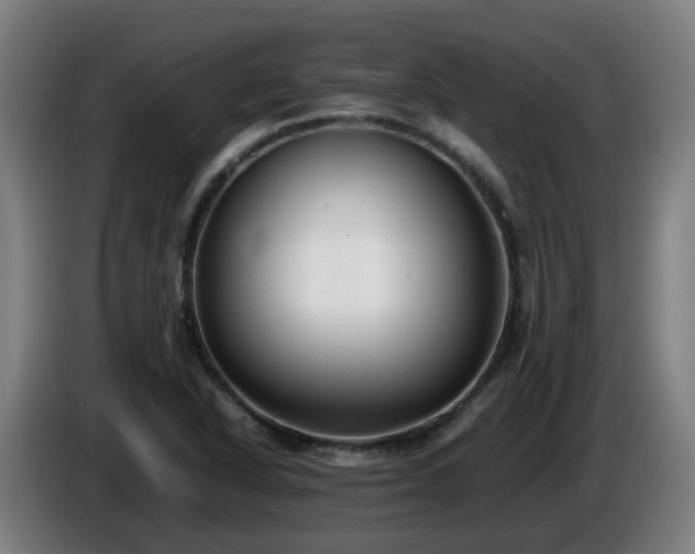 X0000086011318200703301002