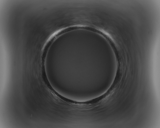 X0000086011319200703301002
