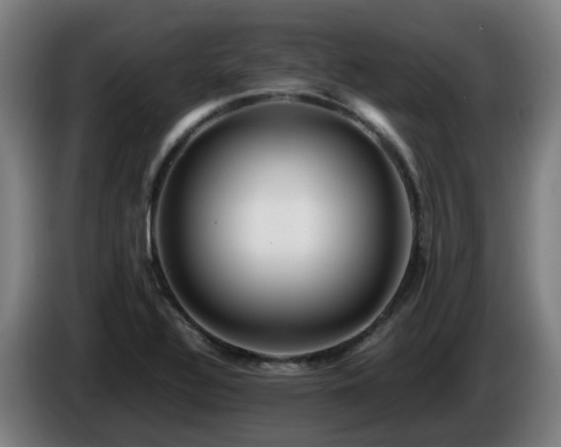 X0000086011320200703301002