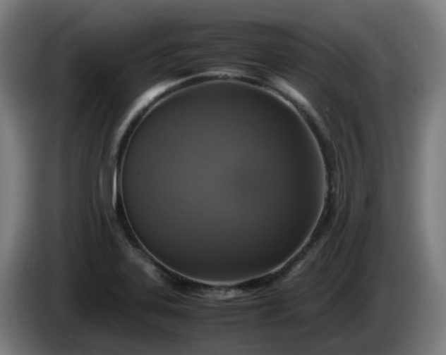 X0000086011323200703301002