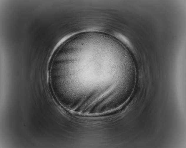 X0000086011324200703301002