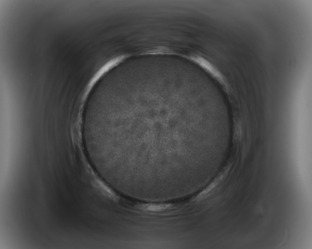 X0000086011325200703301002