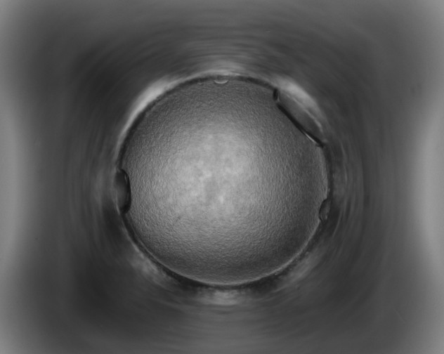 X0000086011326200703301002