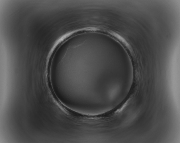 X0000086011327200703301002