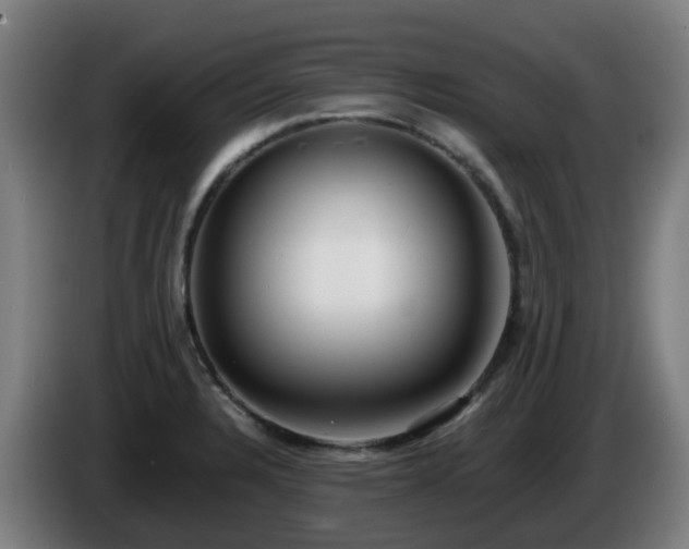 X0000086011328200703301002
