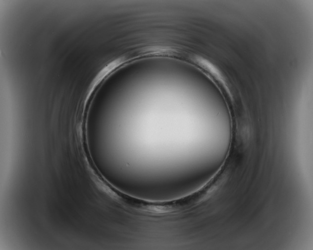 X0000086011330200703301002