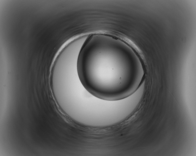 X0000086011332200703301002
