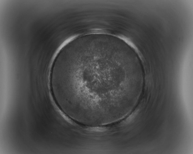 X0000086011333200703301002