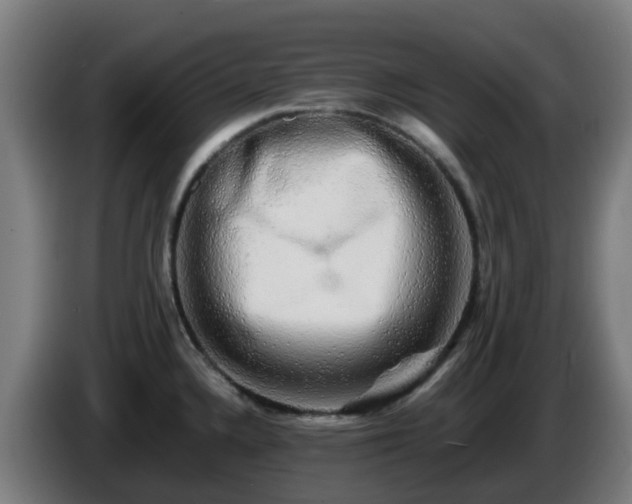 X0000086011336200703301002