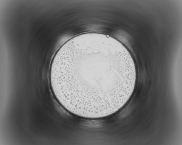 X0000086011338200703301002