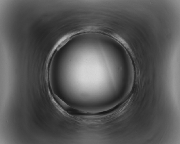 X0000086011342200703301002