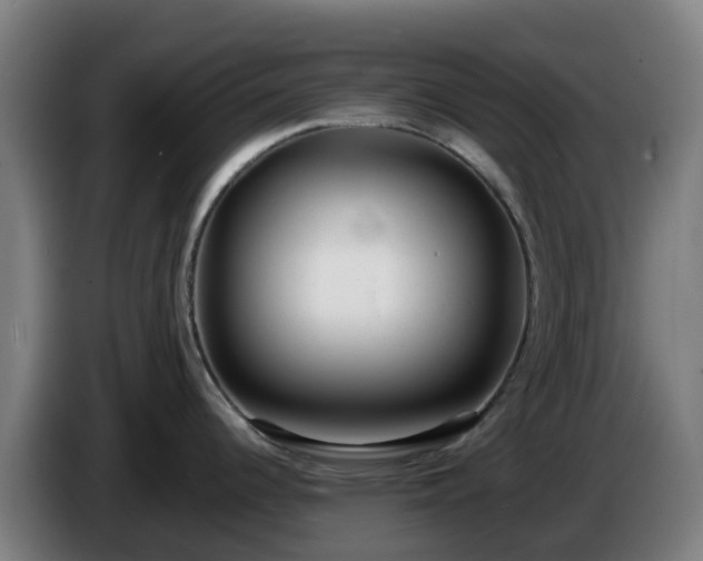 X0000086011344200703301002