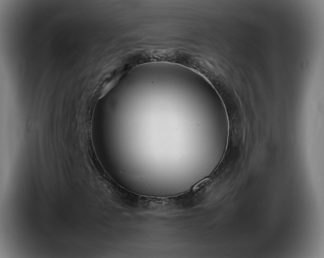 X0000086011345200703301001