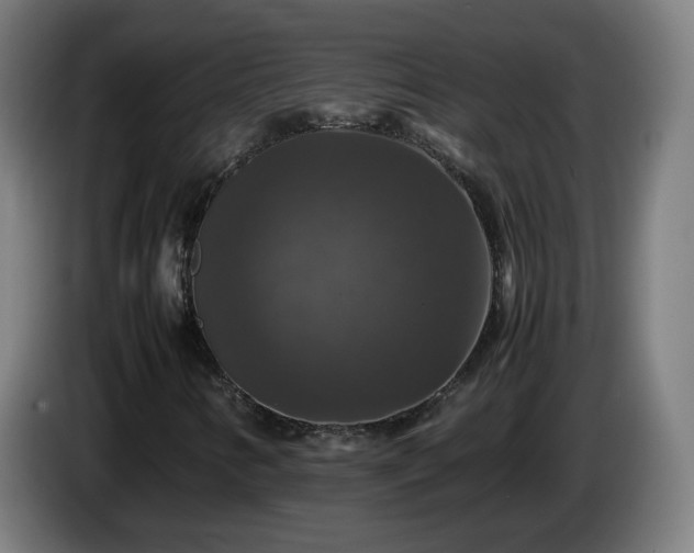 X0000086011346200703301001