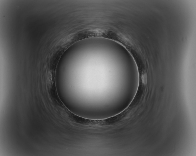 X0000086011347200703301001