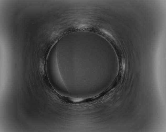 X0000086011348200703301001