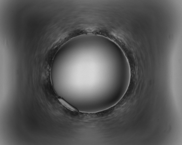 X0000086011349200703301001
