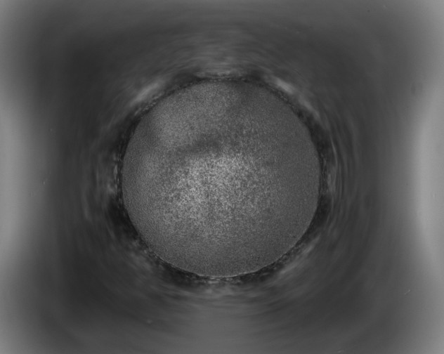 X0000086011350200703301001