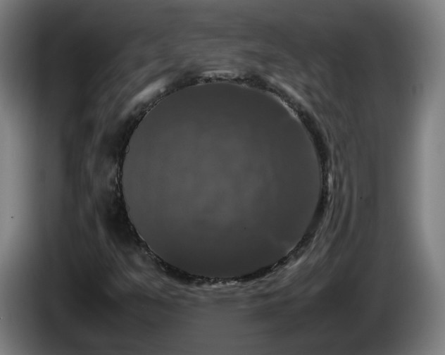 X0000086011351200703301001
