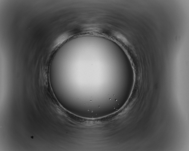 X0000086011354200703301001