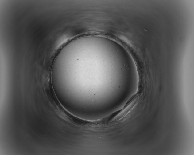 X0000086011355200703301001