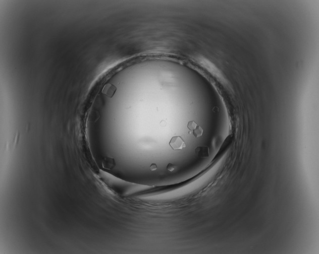 X0000086011356200703301001