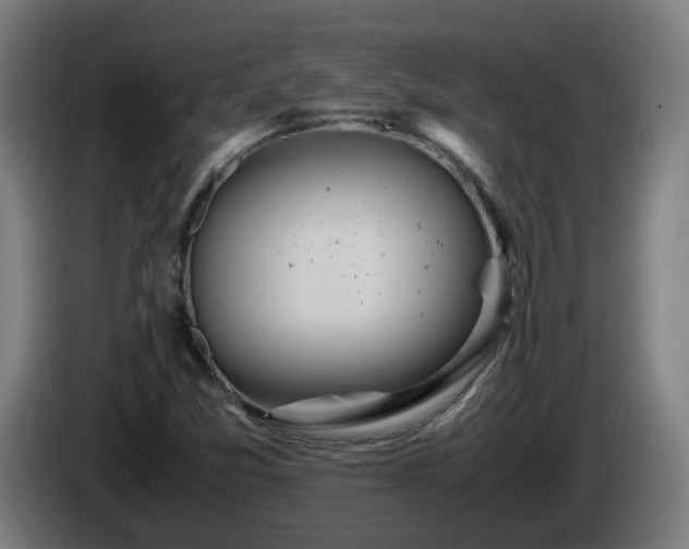 X0000086011357200703301001