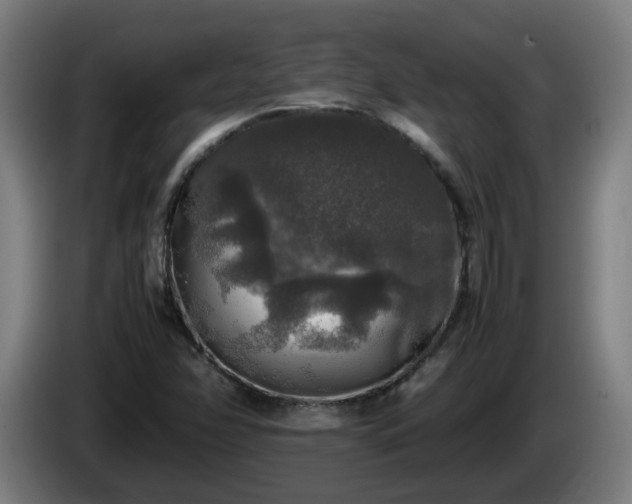 X0000086011358200703301001