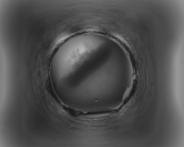 X0000086011359200703301001