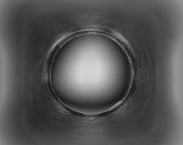 X0000086011360200703301001