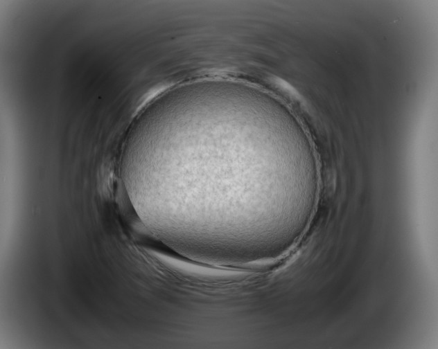 X0000086011361200703301001