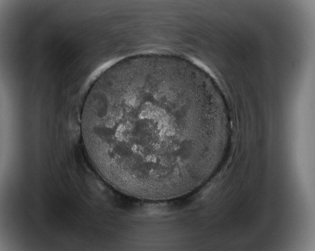 X0000086011363200703301001