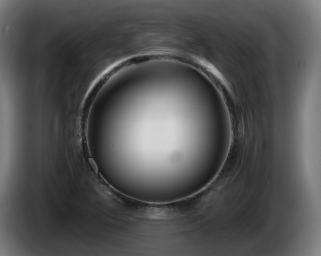 X0000086011364200703301001