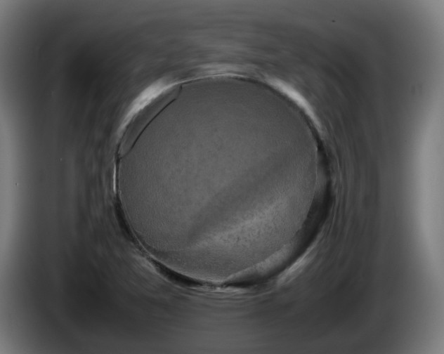 X0000086011365200703301001