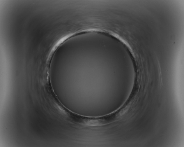 X0000086011367200703301001