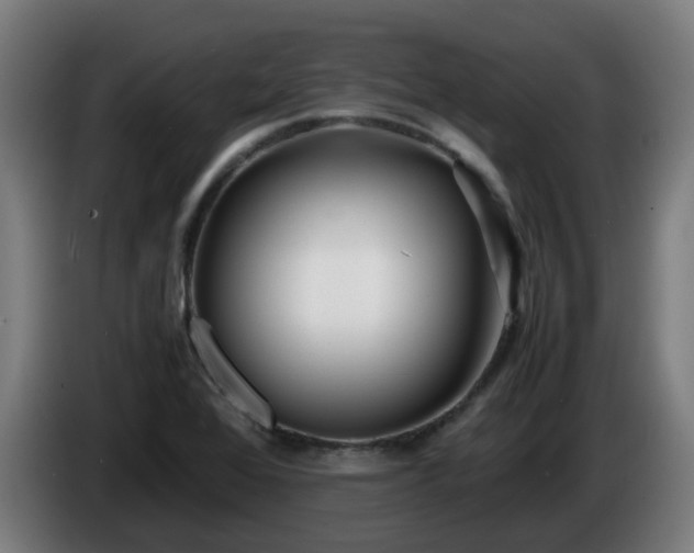 X0000086011368200703301001