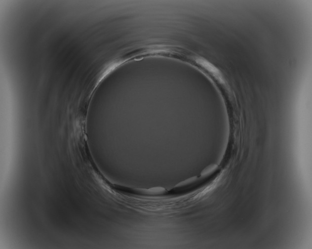 X0000086011369200703301001