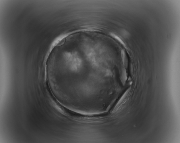 X0000086011371200703301001