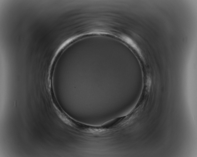 X0000086011372200703301001