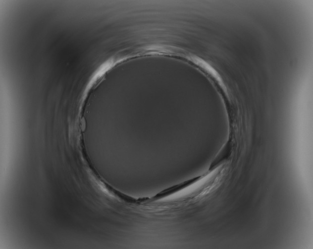 X0000086011373200703301001